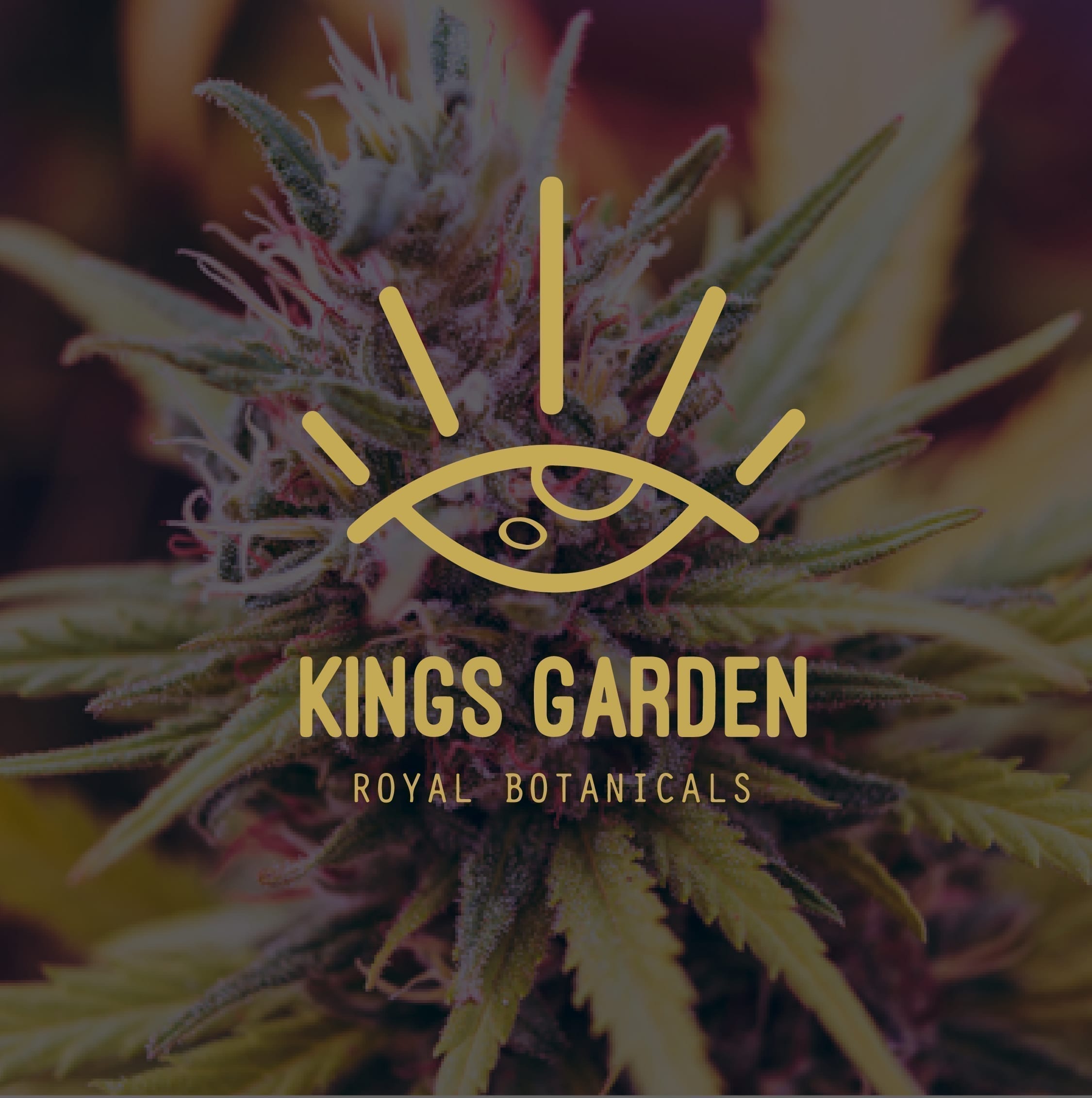 Kings Garden royal botanicals marijuana deals