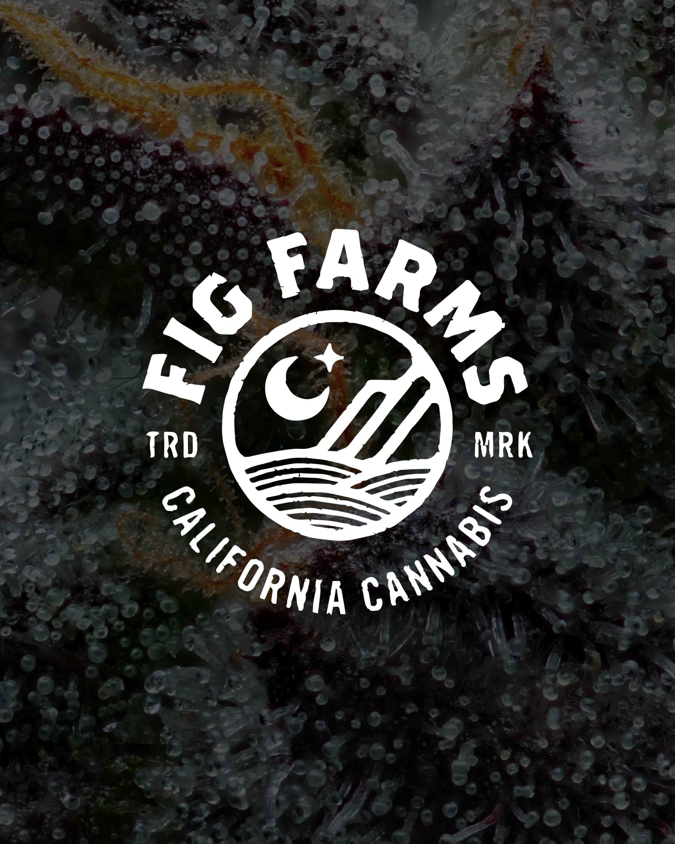 Fig Farms California Cannabis near me