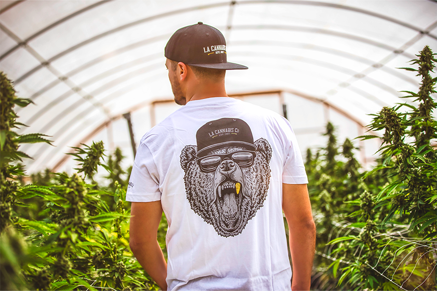 LA Cannabis Co Merch shop in California