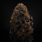 Envy IG Post - Nug v2 1