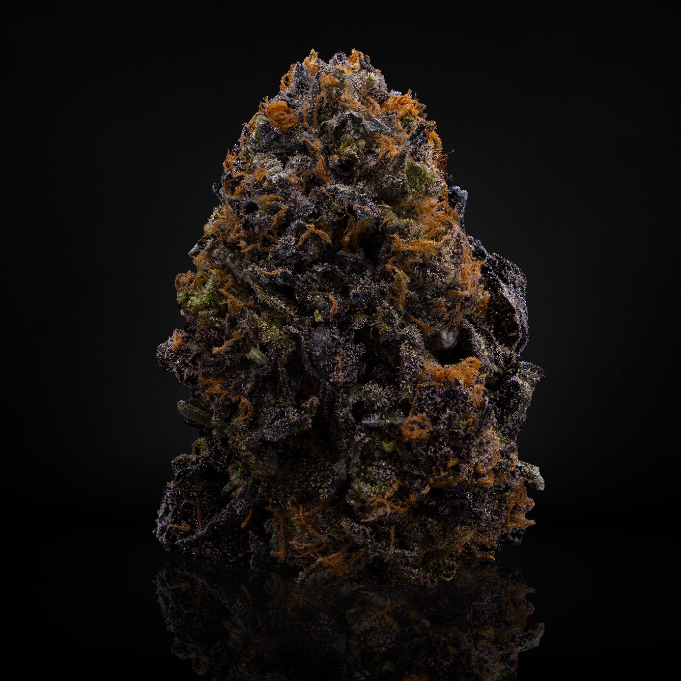 Envy IG Post - Nug v2 1
